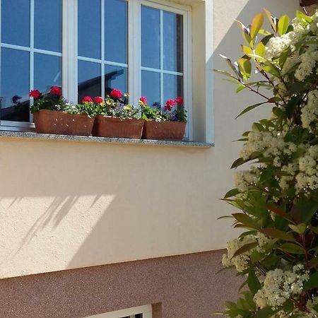 Apartments Place4You Bjelovar Exterior foto